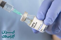 آیا زگیل تناسلی ترشح دارد ؟ مطالعات مرکز اچ پی وی ایران