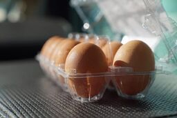 کاهش قیمت مرغ و تخم مرغ در سال جدید