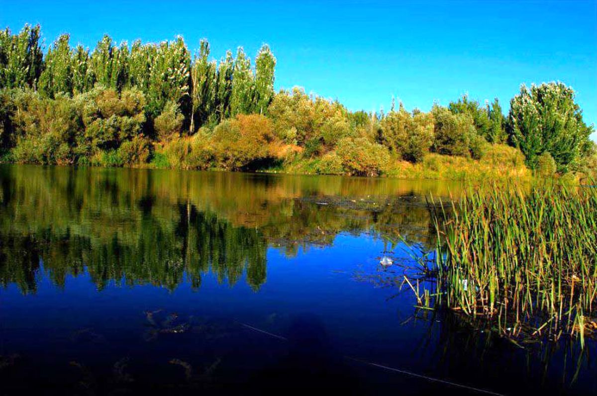 اجرای دستورات ویژه آبی در ۱۴ حوضه / جلوگیری از تنش احتمالی بین ذینفعان