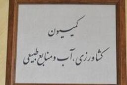مدیر عامل صندوق بیمه اجتماعی کشاورزان و عشایر به مجلس گزارش می دهد