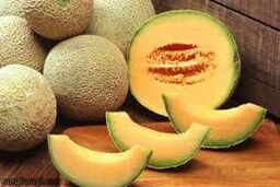 طالبی و بینایی