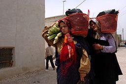 افزایش ۲۰ درصد مستمری مددجویان بهزیستی