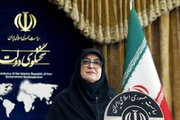 
سخنگوی دولت: در جنگ اخیر ۱۰۶۲ شهید تقدیم کردیم
