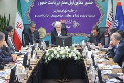 
عارف: بروکراسی و تأخیر در مجوزدهی مانع رشد اقتصادی است
