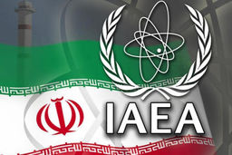 رئیس بازرسان آژانس وارد تهران شد / آغاز مذاکرات تا ساعتی دیگر