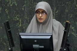 سخنان عضو کمیسیون فرهنگی مجلس در مورد سرانه مطالعه 