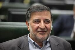 ۴۰درصد ثبت نام کنندگان یارانه درآمد خود را زیر ۶۰۰هزار تومان اعلام کردند