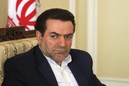 تهیه طرح جلوگیری از مشارکت بانک ها در ساخت وساز و کارخانه داری توسط نمایندگان