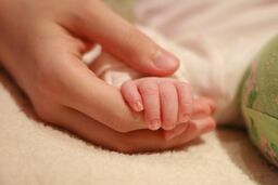 مشوق جدید بیمه برای بچه‌دار شدن