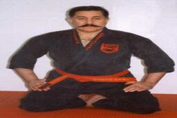 فرهاد وارسته، اولین کاراته کای ایران