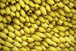 دستیار کی روش جزو ۱۰ اتفاق عجیب جام جهانی / جکوزی برای ژاپنی ها و قهوه برای استرالیایی ها