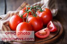 همه آنچه که باید در مورد گوجه فرنگی بدانید