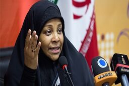 مجری و خبرنگار «پرس‌تی‌وی» در آمریکا بازداشت شد