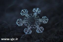 عکاسی شگفت انگیز با دوربین ساده + تصاویر