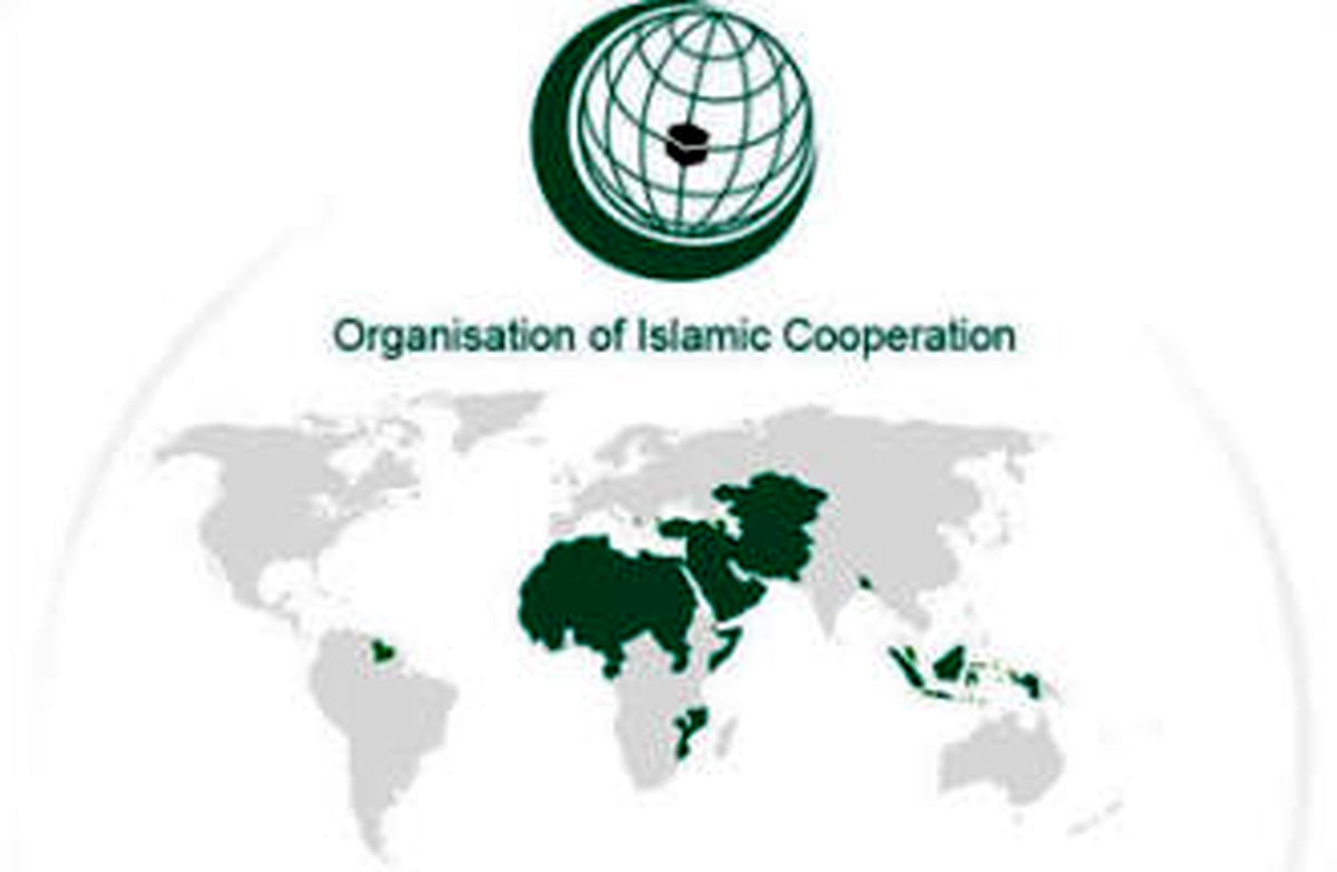 هیات سازمان همکاری های اسلامی به آفریقا می رود
