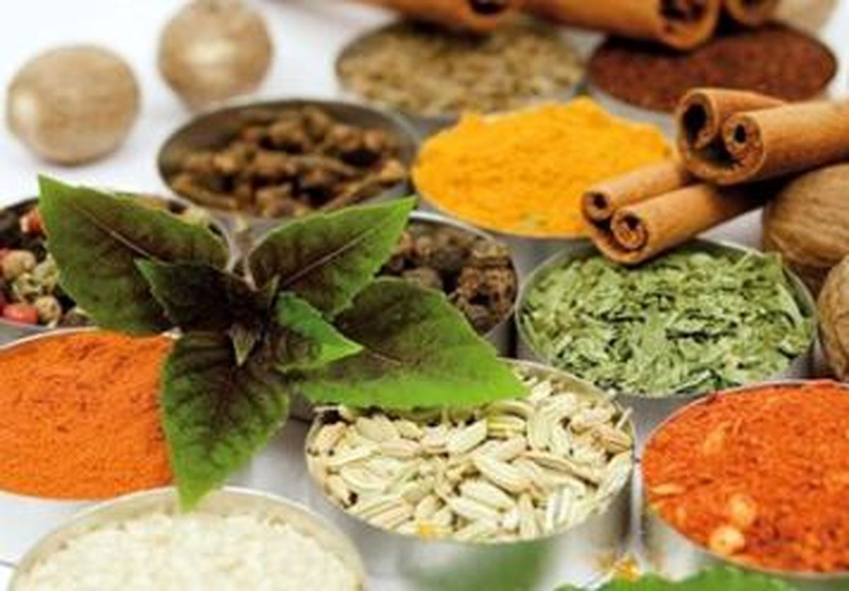 تقویت کننده های حافظه از دیدگاه طب سنتی