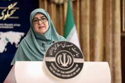مهاجرانی: صحنه اعتراضات مدنی ما مورد حمله تروریستی قرار گرفت

