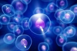 مرکز توسعه فناوری محصولات پیشرفته سلولی رویان افتتاح شد