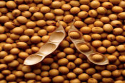 یک خوراکی مفید برای افراد چاق