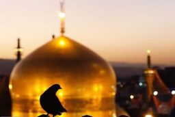 خراسان رضوی رکورددار اقامت _ شب در کشور