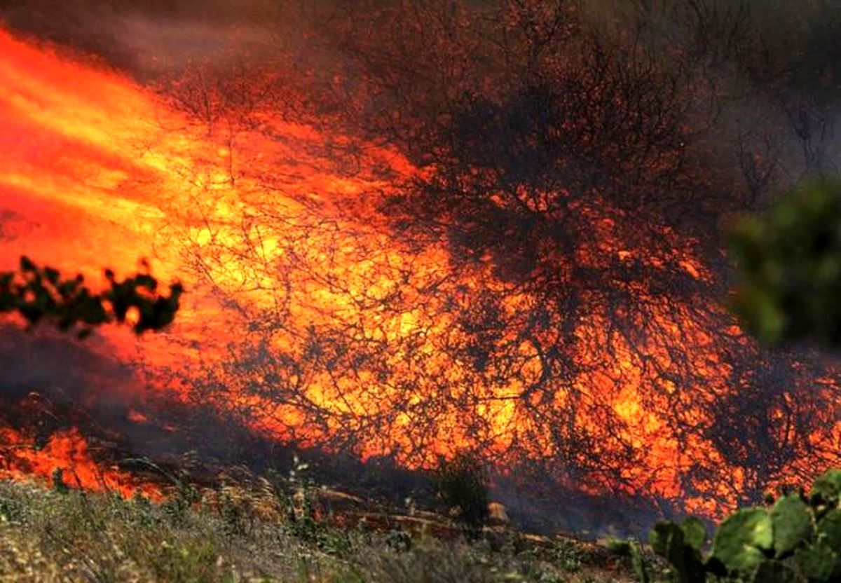 تخلیه ۱۲۵ هزار نفر درپی آتش سوزی گسترده در کالیفرنیا