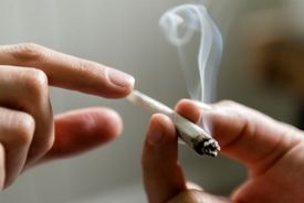 مخدر گل با ۱۰ برابر ماده موثر به بلای جان جوانان تبدیل شده‌ است