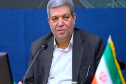 بیش از ۱۰ میلیون نفر در ایران دارای معلولیت هستند
