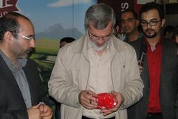 کری‌ خوانی جالب رویانیان برای استقلالی‌ ها