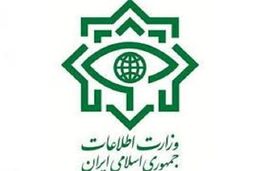 وزارت اطلاعات شبکه مفسدان اقتصادی ارز دولتی را منهدم کرد 