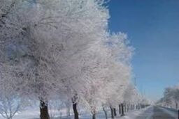 آذربایجان شرقی چهره زمستانی گرفت