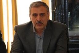 گواری: اعزام قایقرانان به بازی های آسیایی کیفی خواهد بود