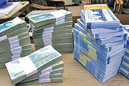 افزایش سود سپرده های بانکی موجب افزایش رکود و تورم می شود / انتقاد از سیاست های اقتصادی بانک مرکزی