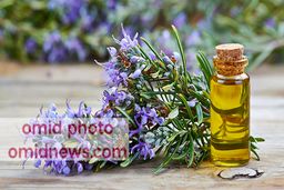 خواص روغن گل بنفشه