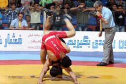 مجتبی کریم فر صاحب مدال برنز شد
