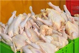 قیمت مرغ در زمستان افزایش نمی‌یابد