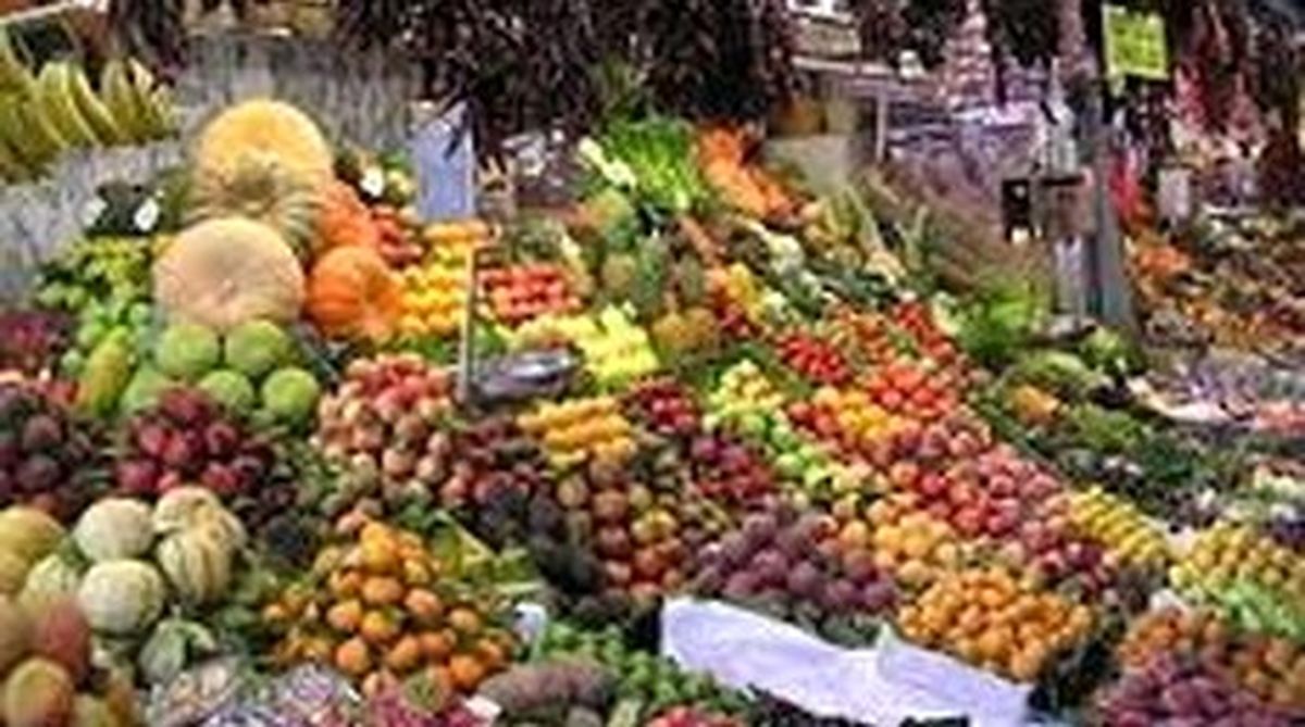 واردات میوه ممنوع شد