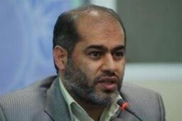 حامیان دولت در مجلس یک گروه هستند نه فراکسیون