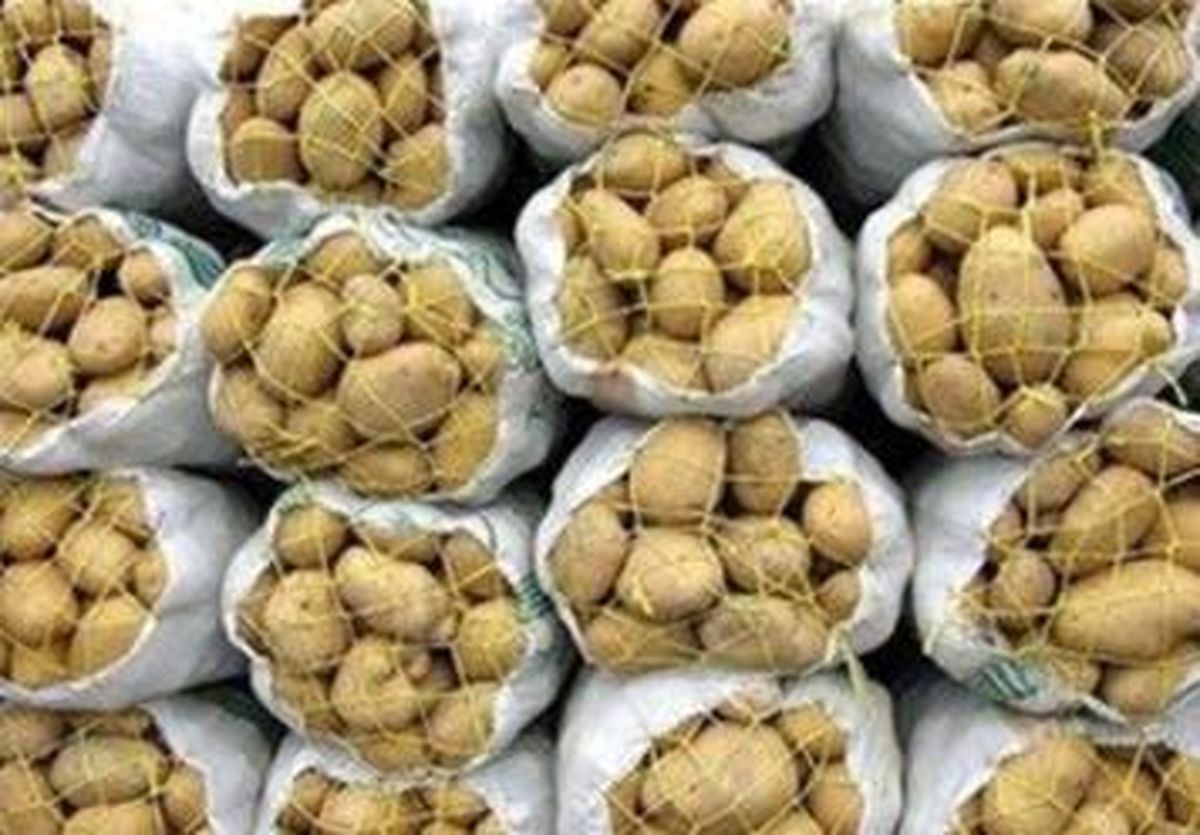 ایران ۱۱۵ هزار تن سیب زمینی از پاکستان وارد کرد