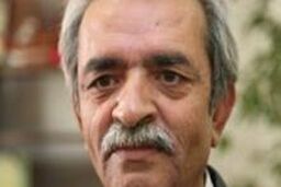 مناطق آزاد به اهداف ترسیم شده نرسیدند