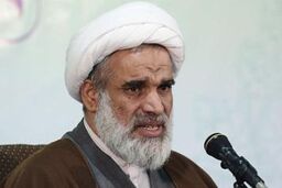 قطعنامه اتحادیه اروپا ارزش حقوقی ندارد