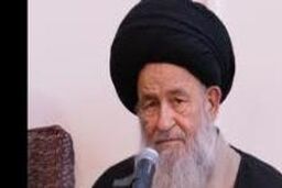 ایران باید برای جامعه غربی الگو باشد