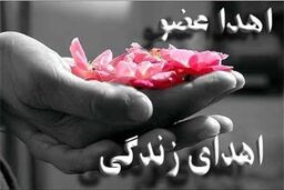 ثبت‌نام بیش از ۱۰۰ نماینده مجلس برای اهدای عضو