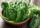 این گیاهان درمانی و مفید