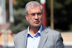 ربیعی: تا اواخر اسفند نیازمند مراعات و همراهی بیشتر مردم هستیم