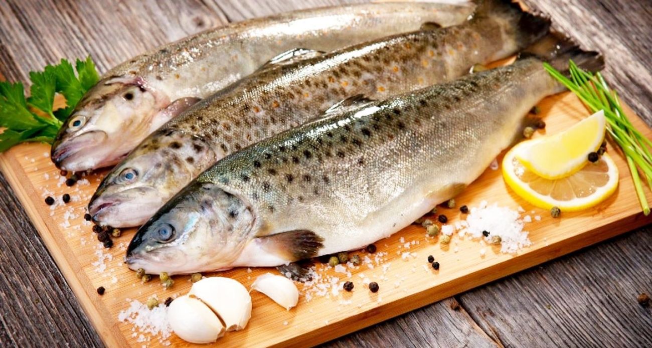 تشخیص ماهی سالم با 6 روش از روی ظاهر