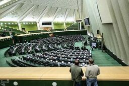 ماده مربوط به اختیارات قضایی سازمان بازرسی به کمیسیون حقوقی مجلس ارجاع شد