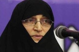 افتخاری: معلوم شد رسانه های دولتی صاحب " دژ پولادین " هستند، نه رسانه های منتقد
