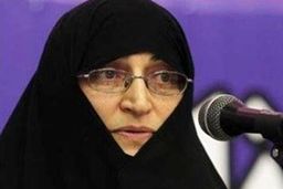 افتخاری: معلوم شد رسانه های دولتی صاحب " دژ پولادین " هستند، نه رسانه های منتقد