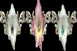 پیامک های تبریک ولادت حضرت فاطمه(س)