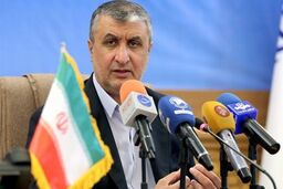  اسلامی: غنی‌سازی پایه و اساس صنعت هسته‌ای ایران است 